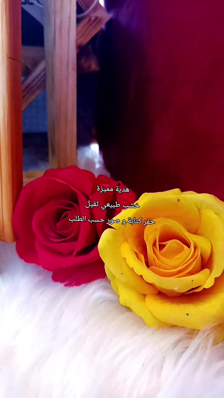 @başnivîs Alan mele ûmerخطاط
