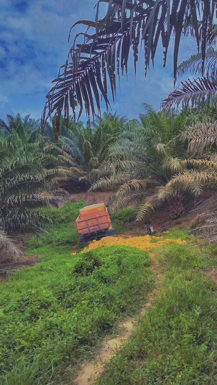 @Muhammadfurqan_165