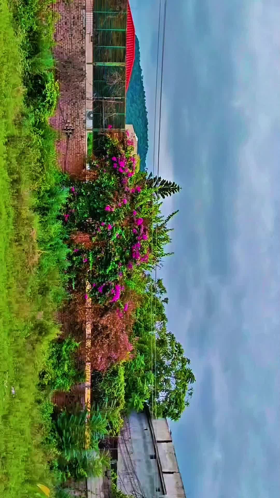 @𝘂𝗿𝗳𝘃𝘁._.𝘇𝘂𝗹𝗾𝗶🩺