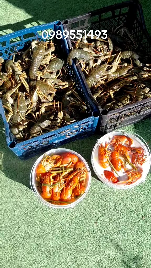 @Раки Умань