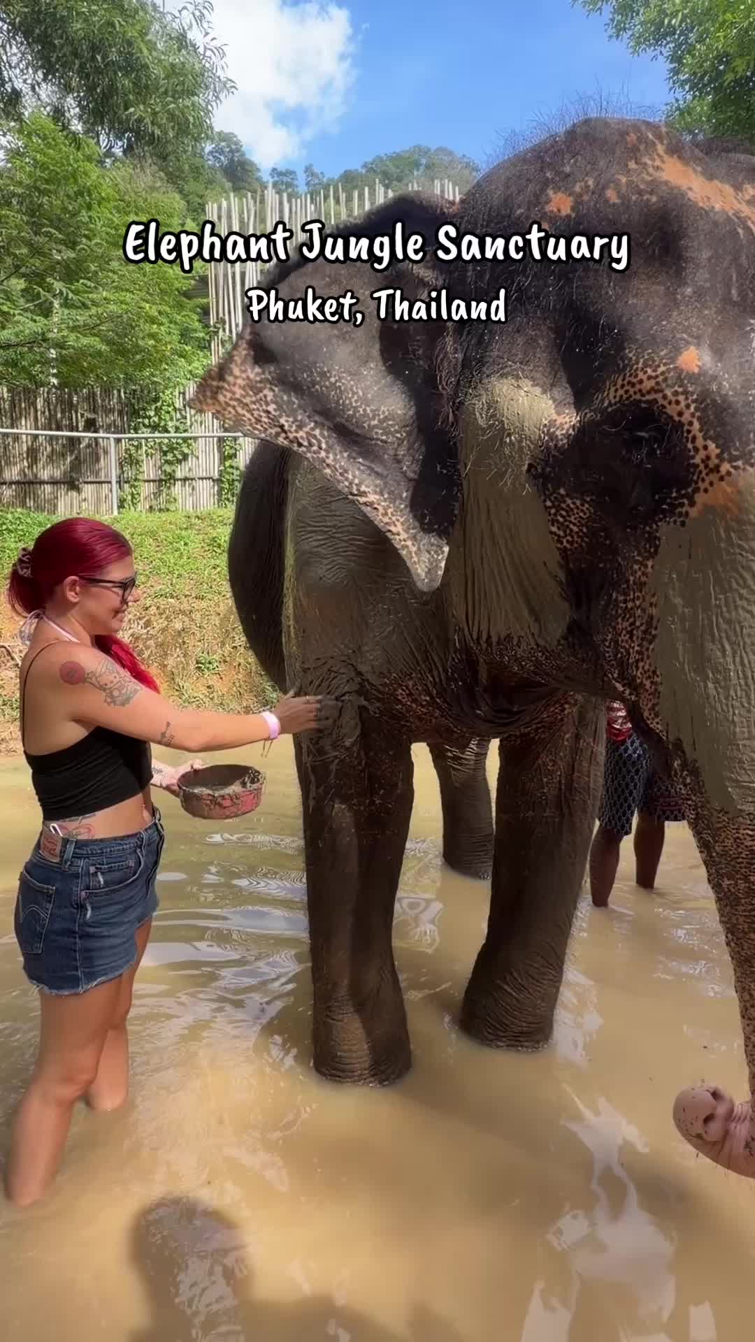 @Soflofooodie