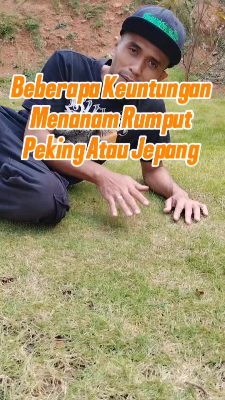 @Bukit Farming
