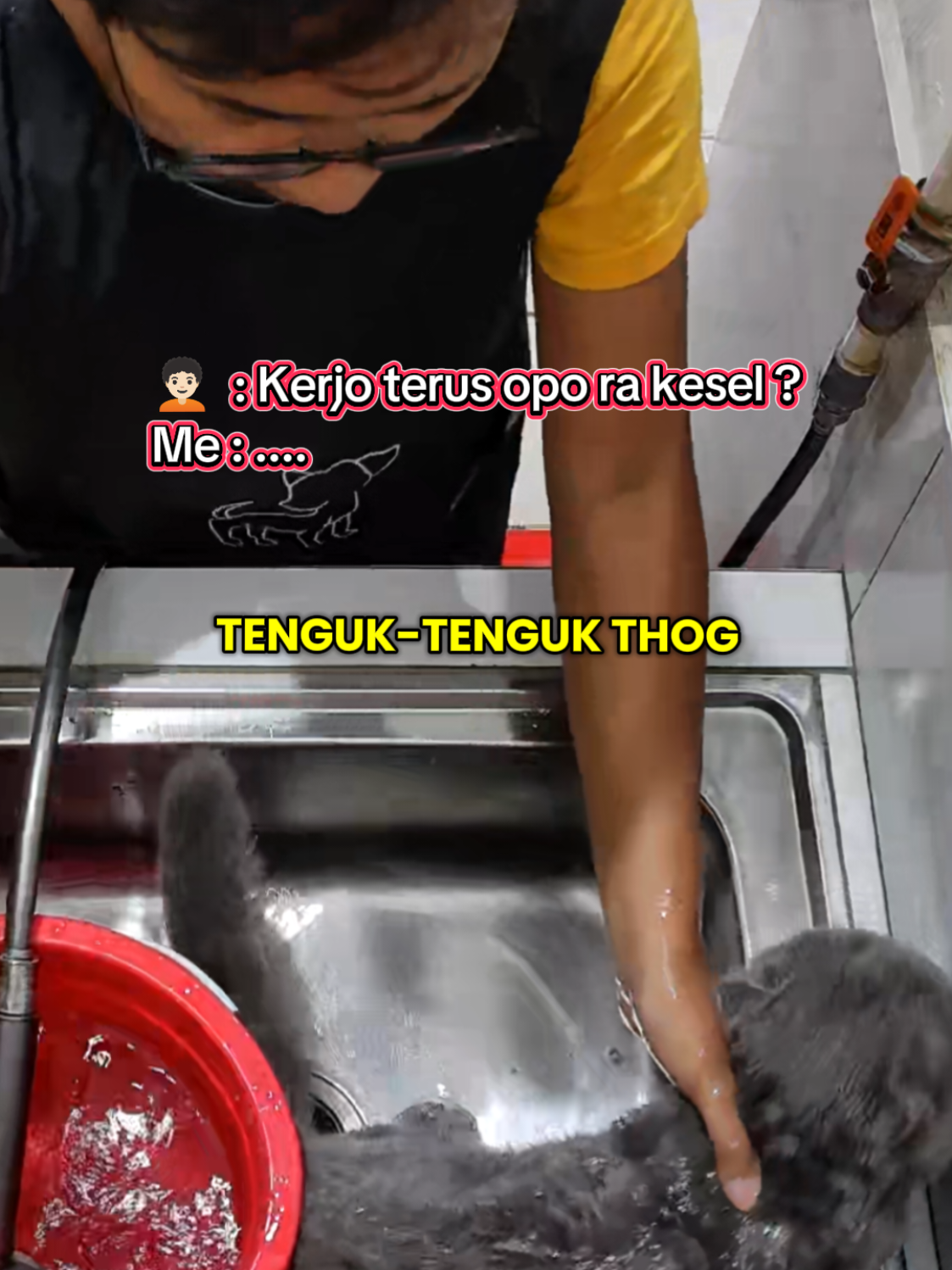 @RED WHITE PETSHOP