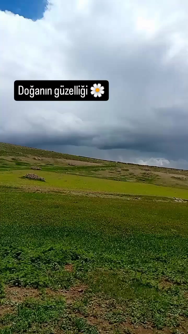 @"🦋