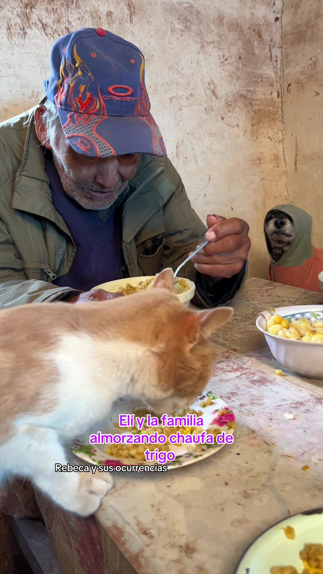 @🐈Rebeca y sus ocurrencias
