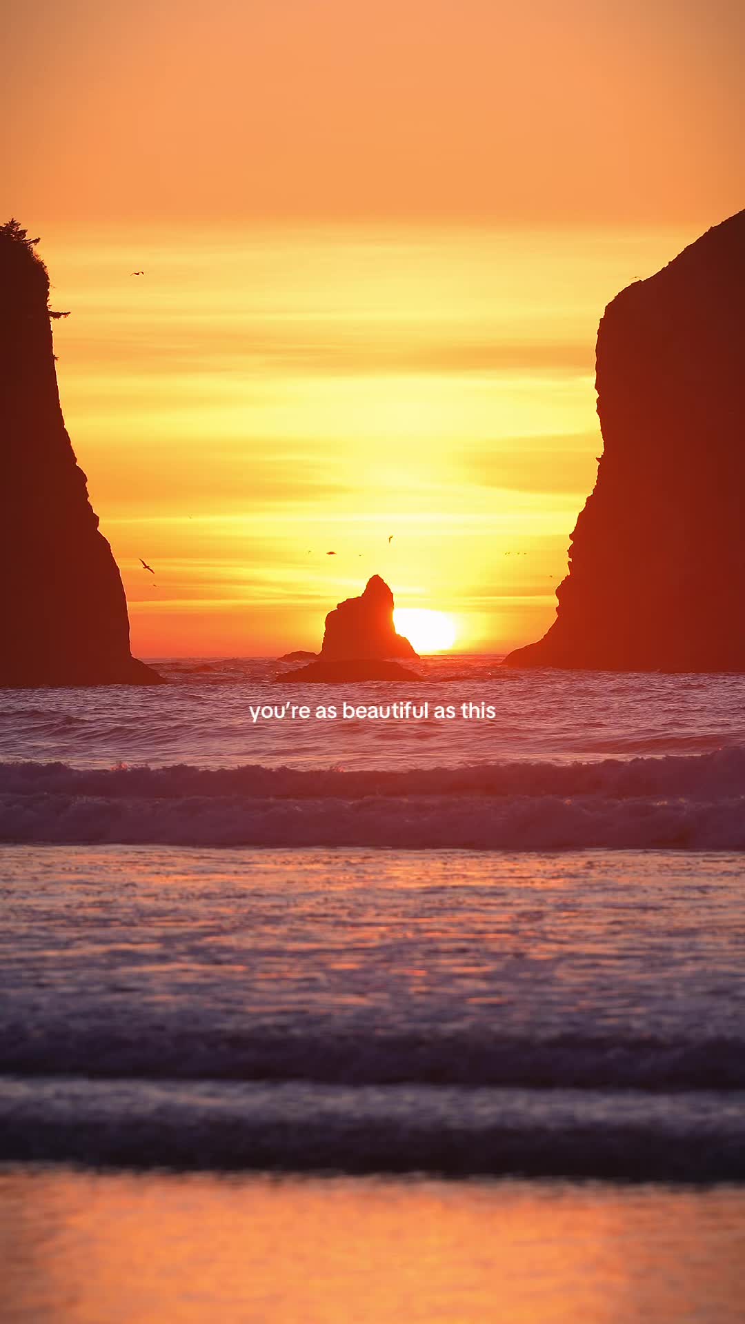 @David de Graaf || PNW 🏔