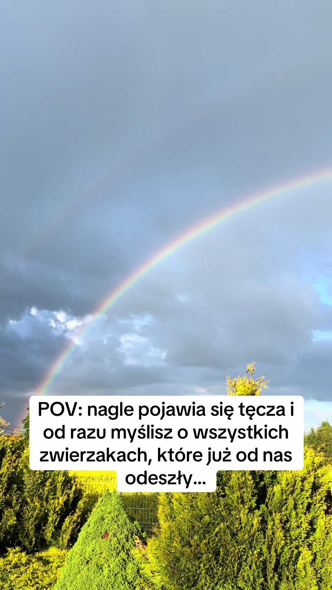 @okulistavet