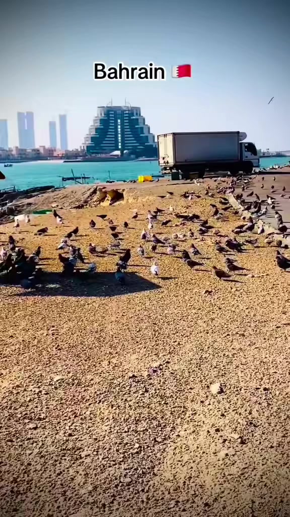 @RAEES&ensp;SULTANI🇧🇭🔹
