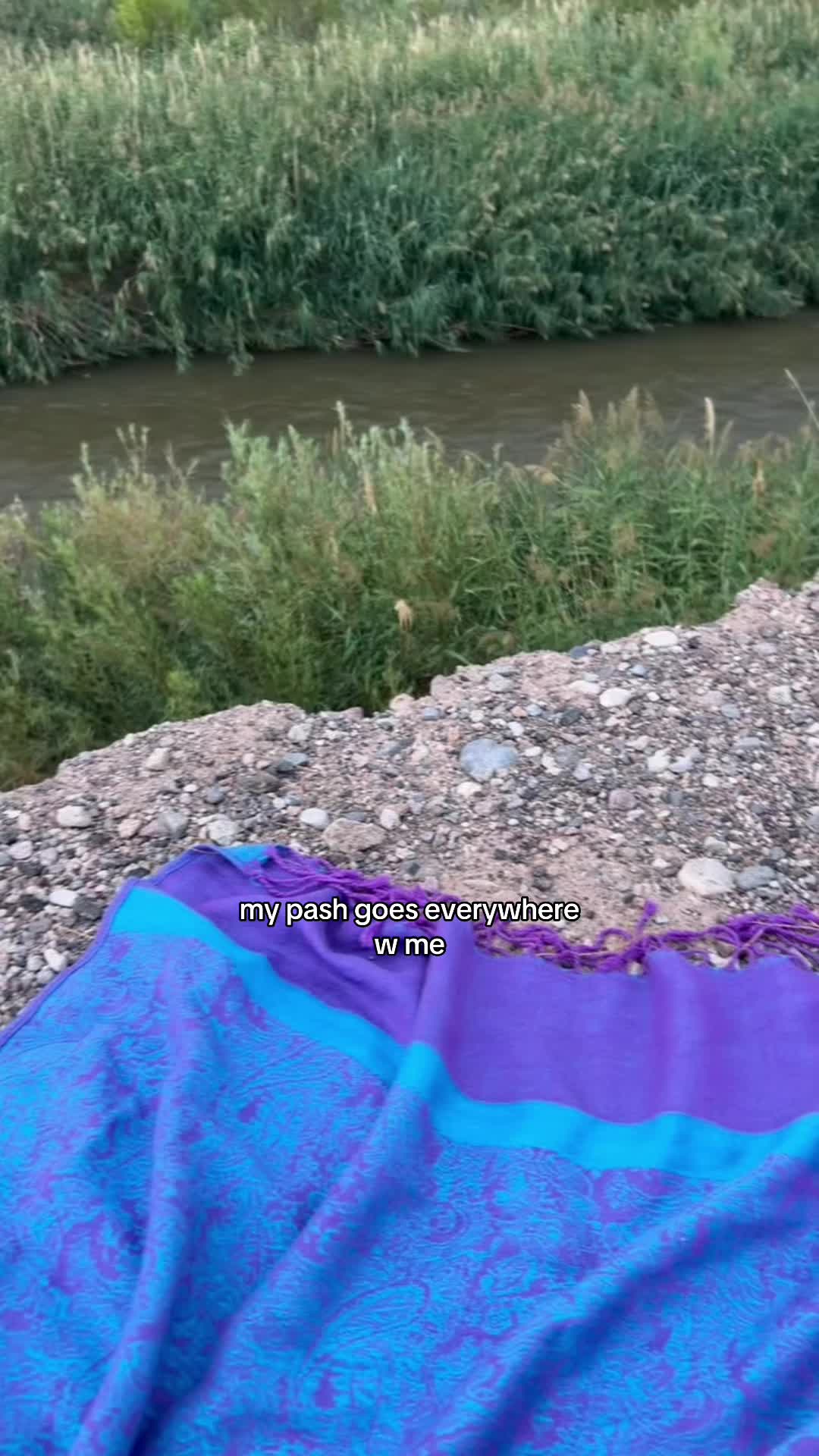 @pashplug