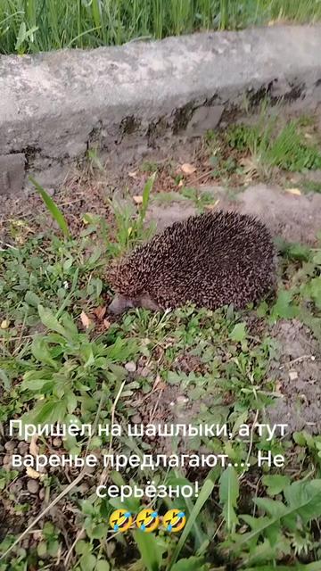 @Александр