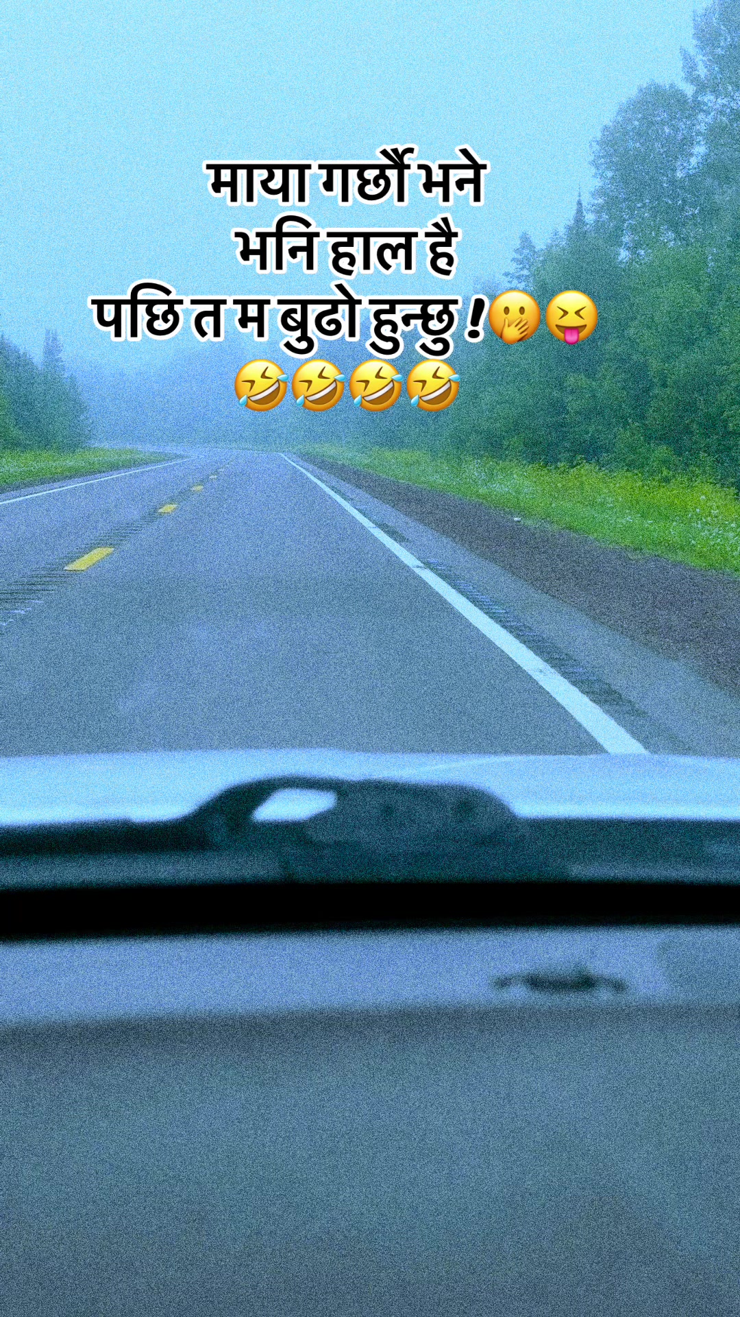 @Meow🐈&zwj;⬛