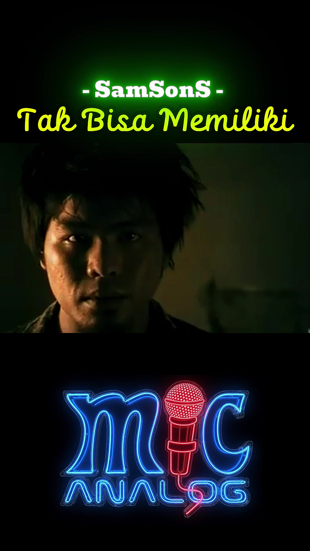 @mic analog