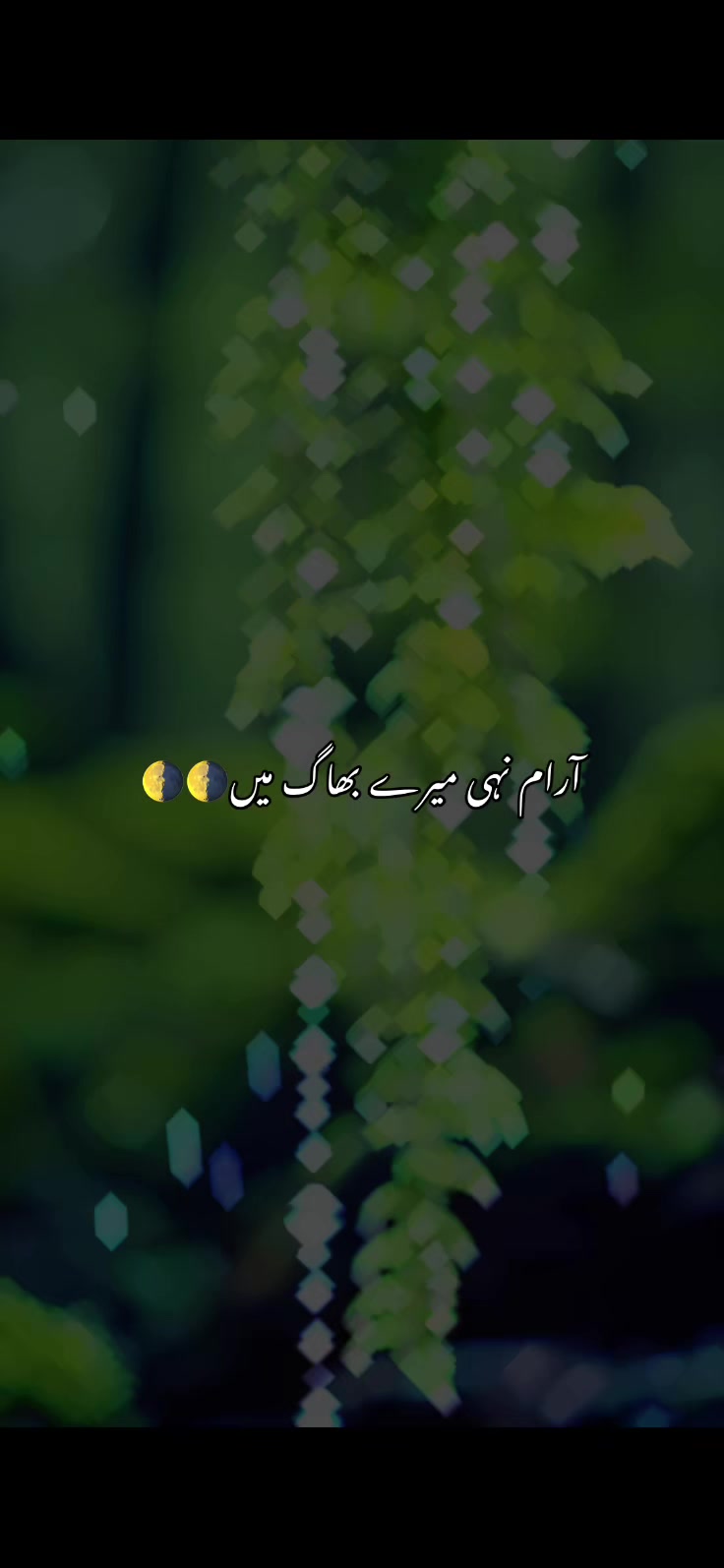 @New Shaheen 266