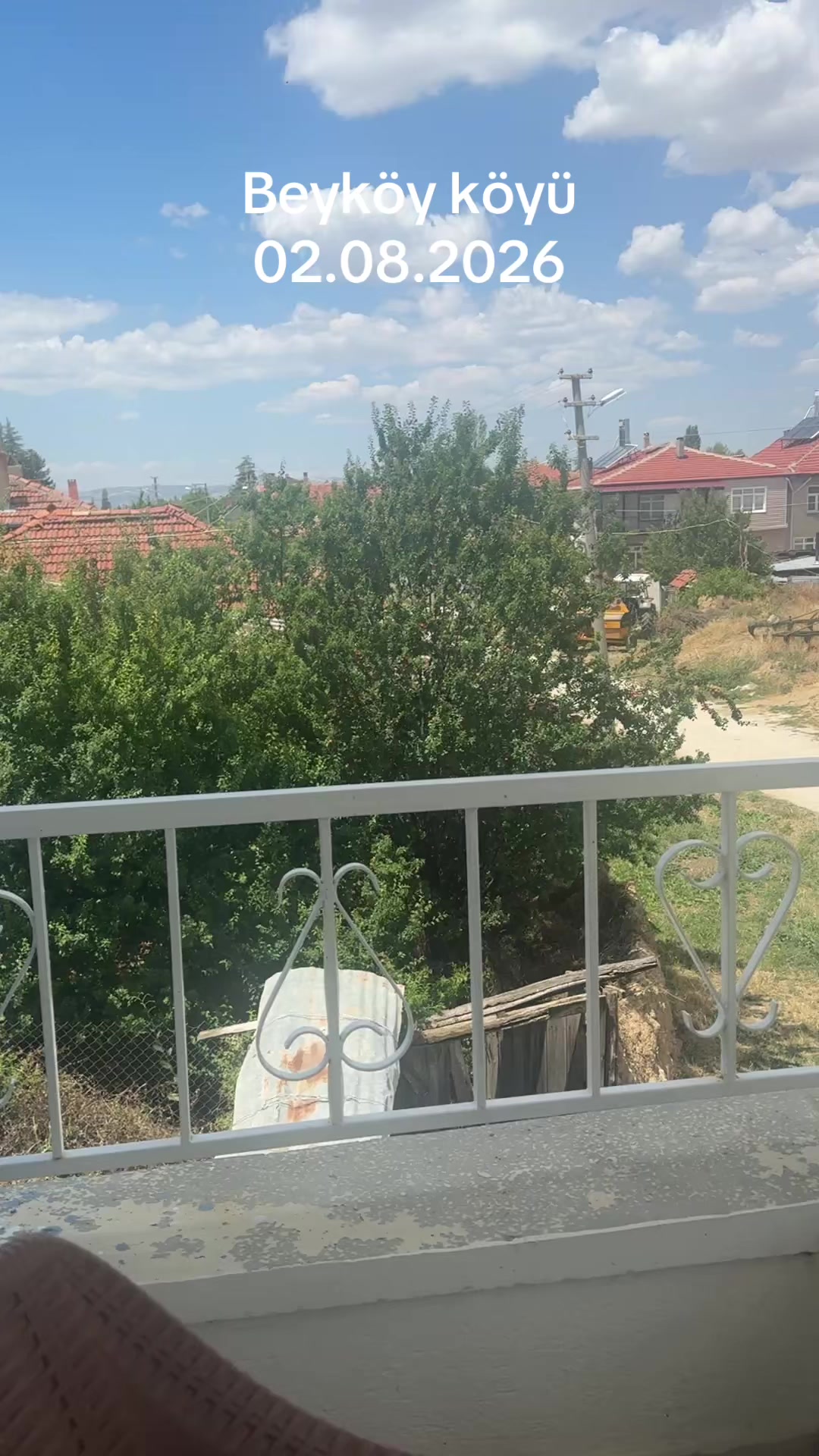 @ŞARKİKARAAĞAÇ__32