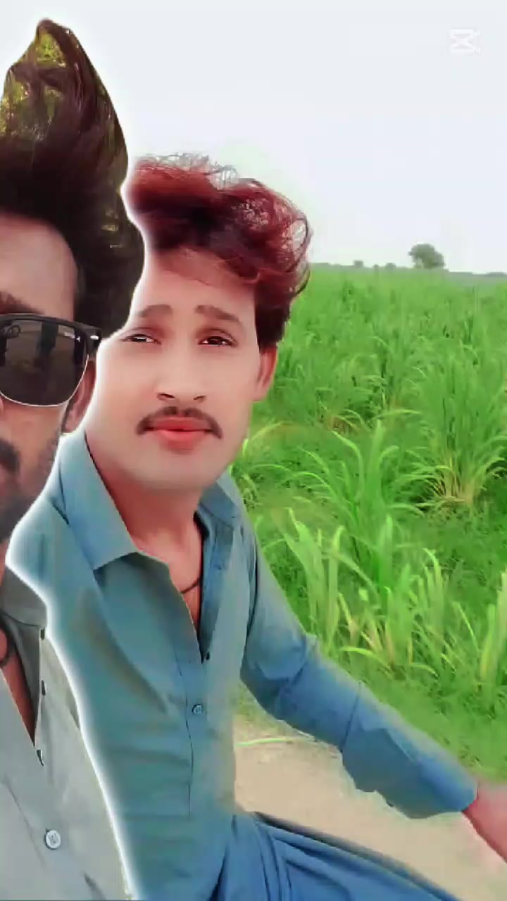 @majno