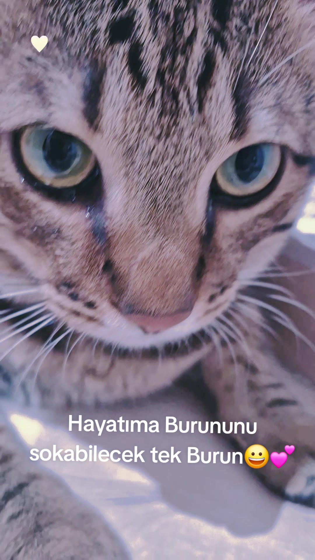 @Aslı Kaynar
