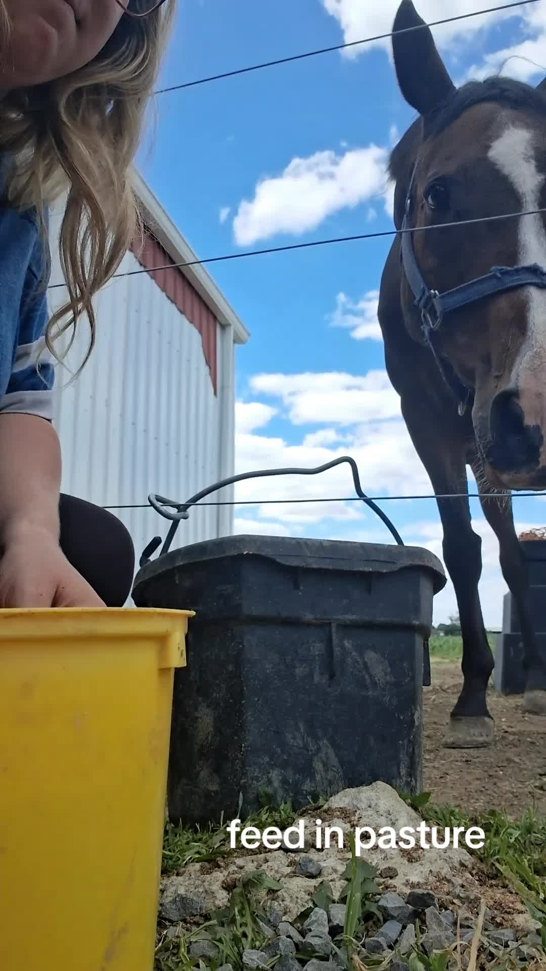 @Taylor | Sah{farm}m