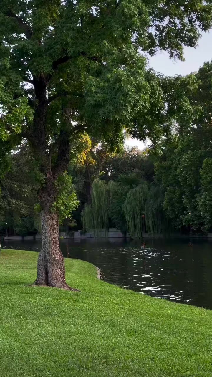 @𝓂𝓎 𝒷𝓁𝑜𝑔
