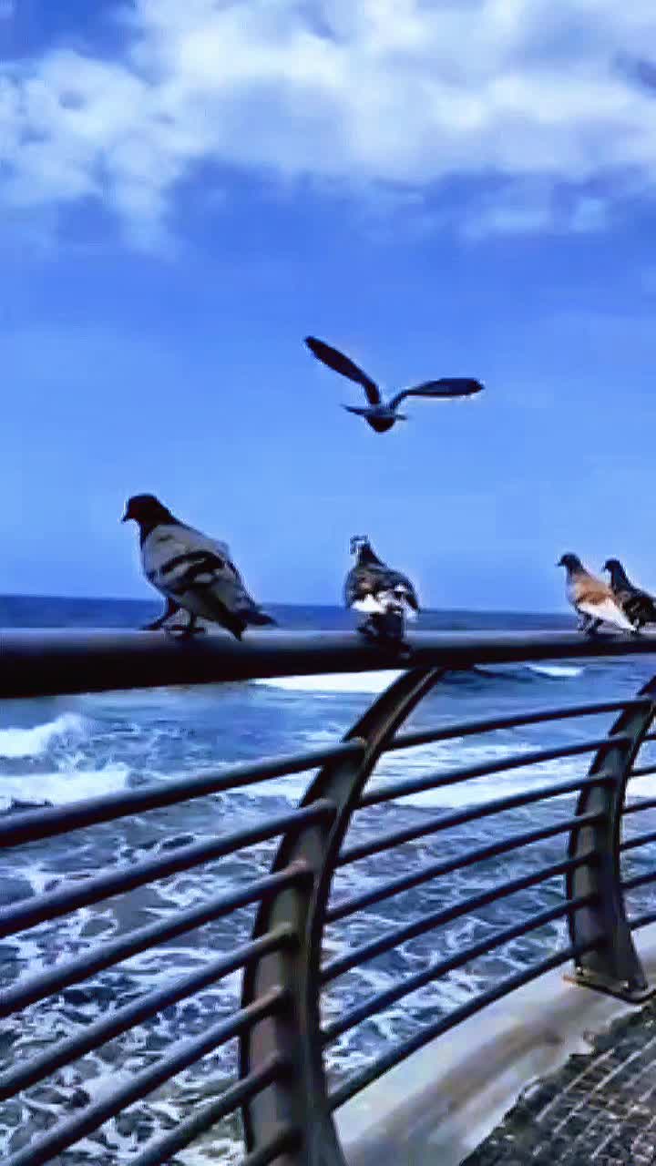 @فادية🦋