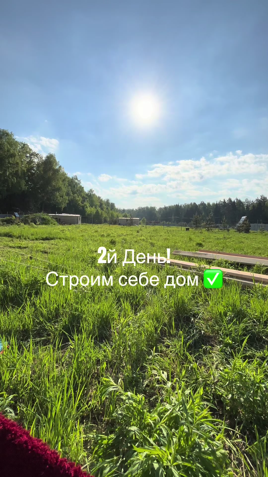 @Елена Меренги