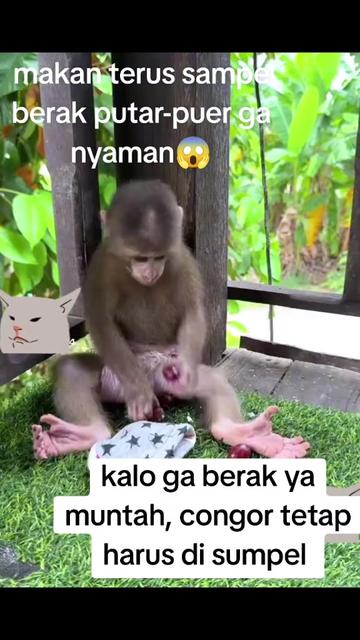 @babah zikri