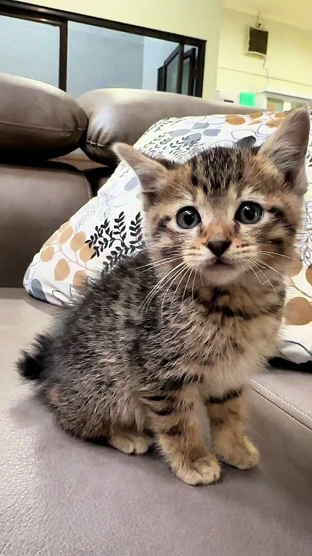 @mnuraza