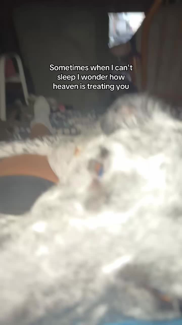 @Jade🫶🩵