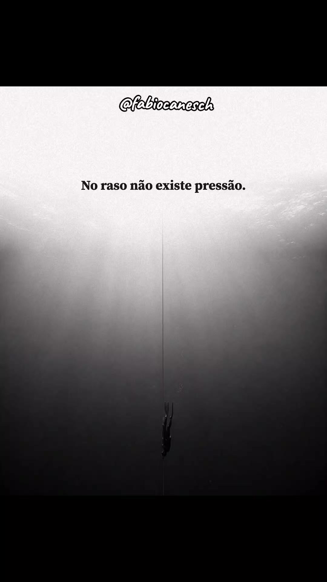 @F&aacute;bio caneschi de Oliveira