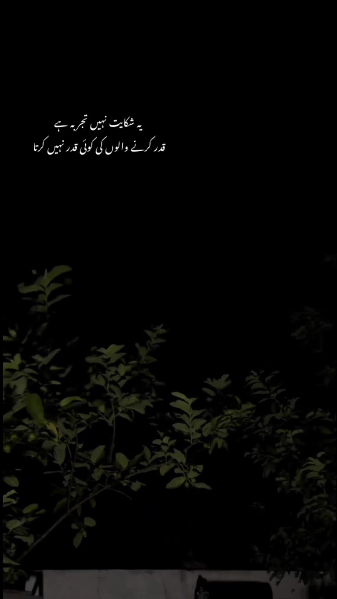@♛•TAYYAB ENZOO 🍒