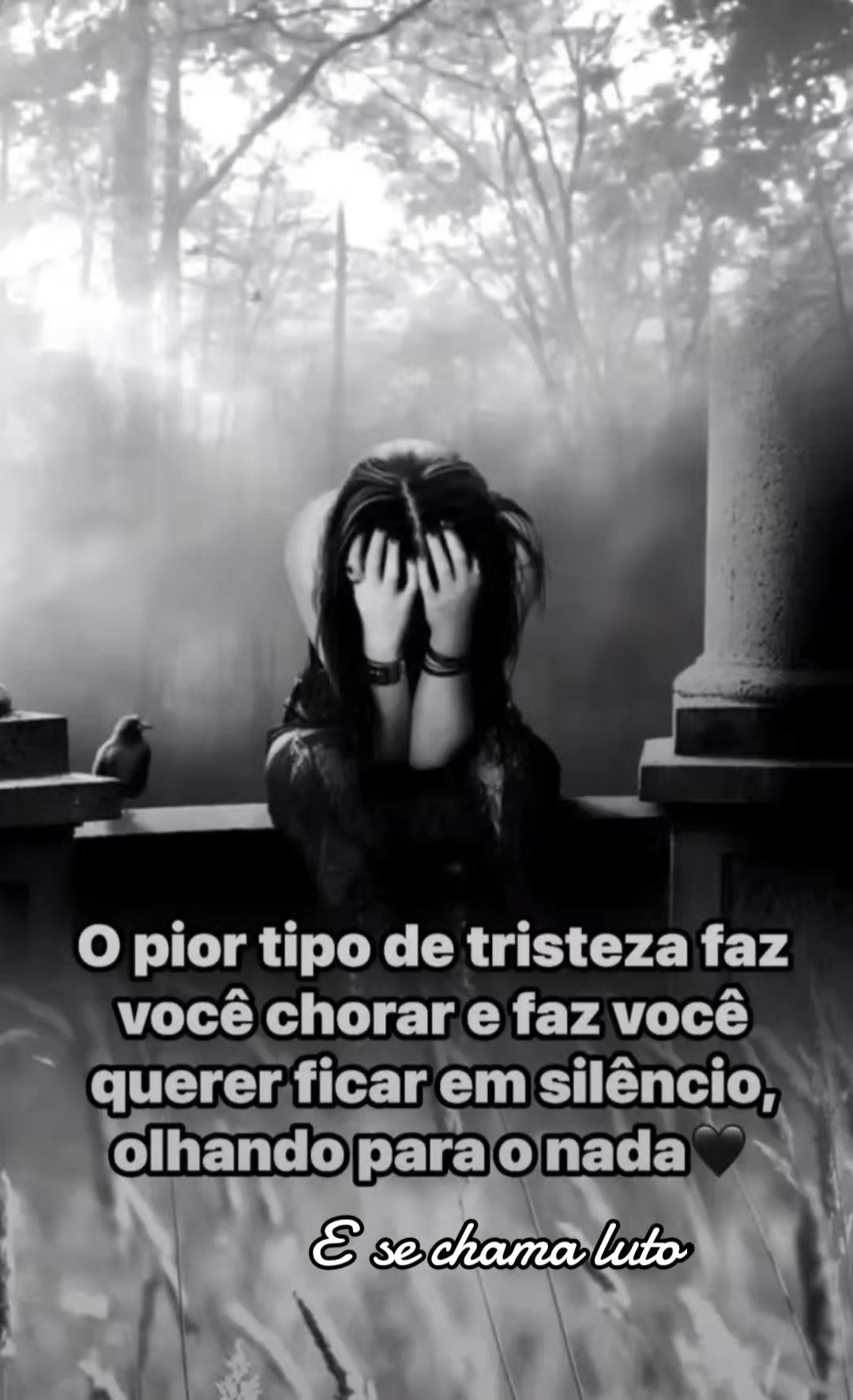 @Amanda Lacerda