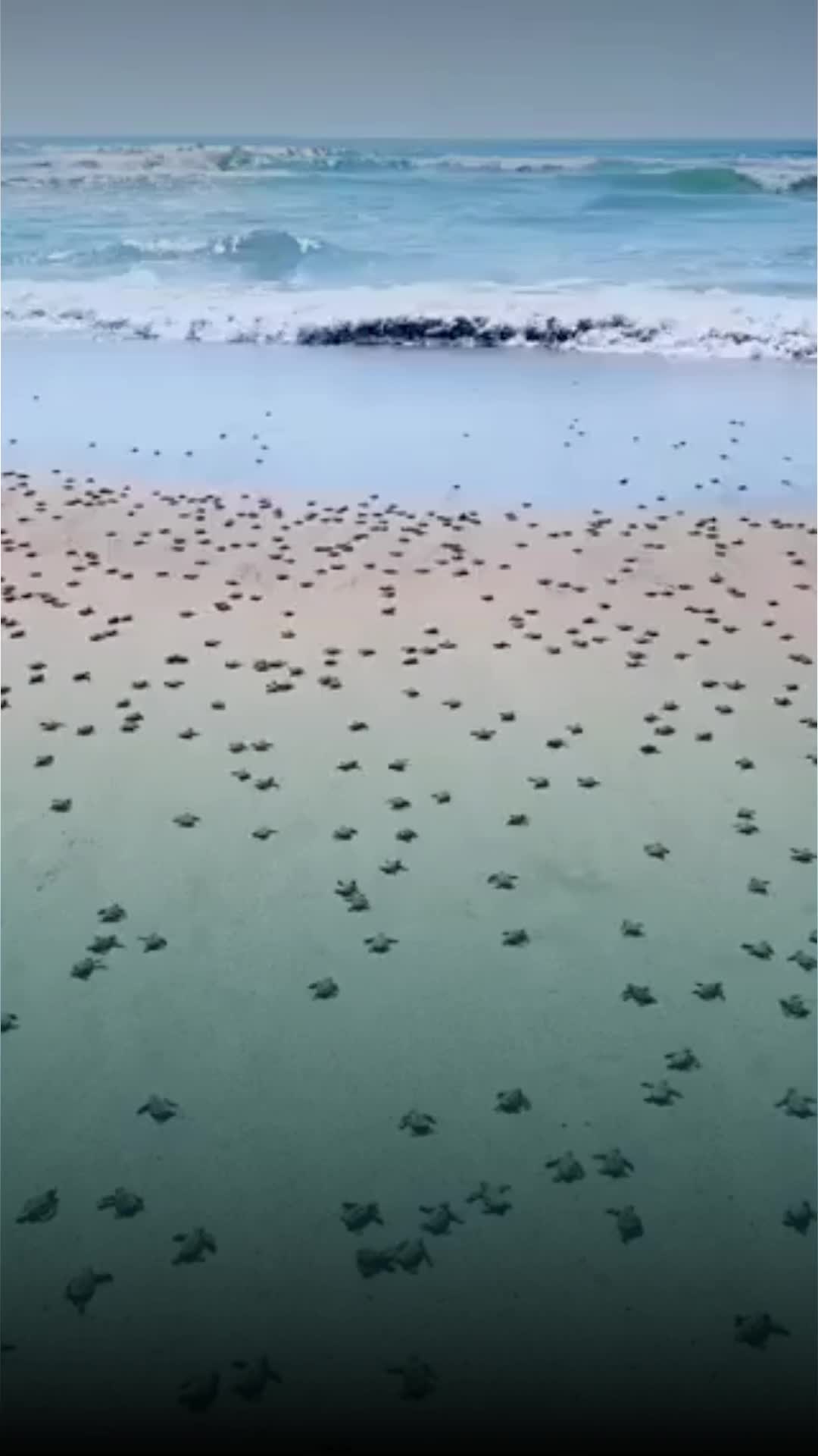 @Entre l&iacute;neas