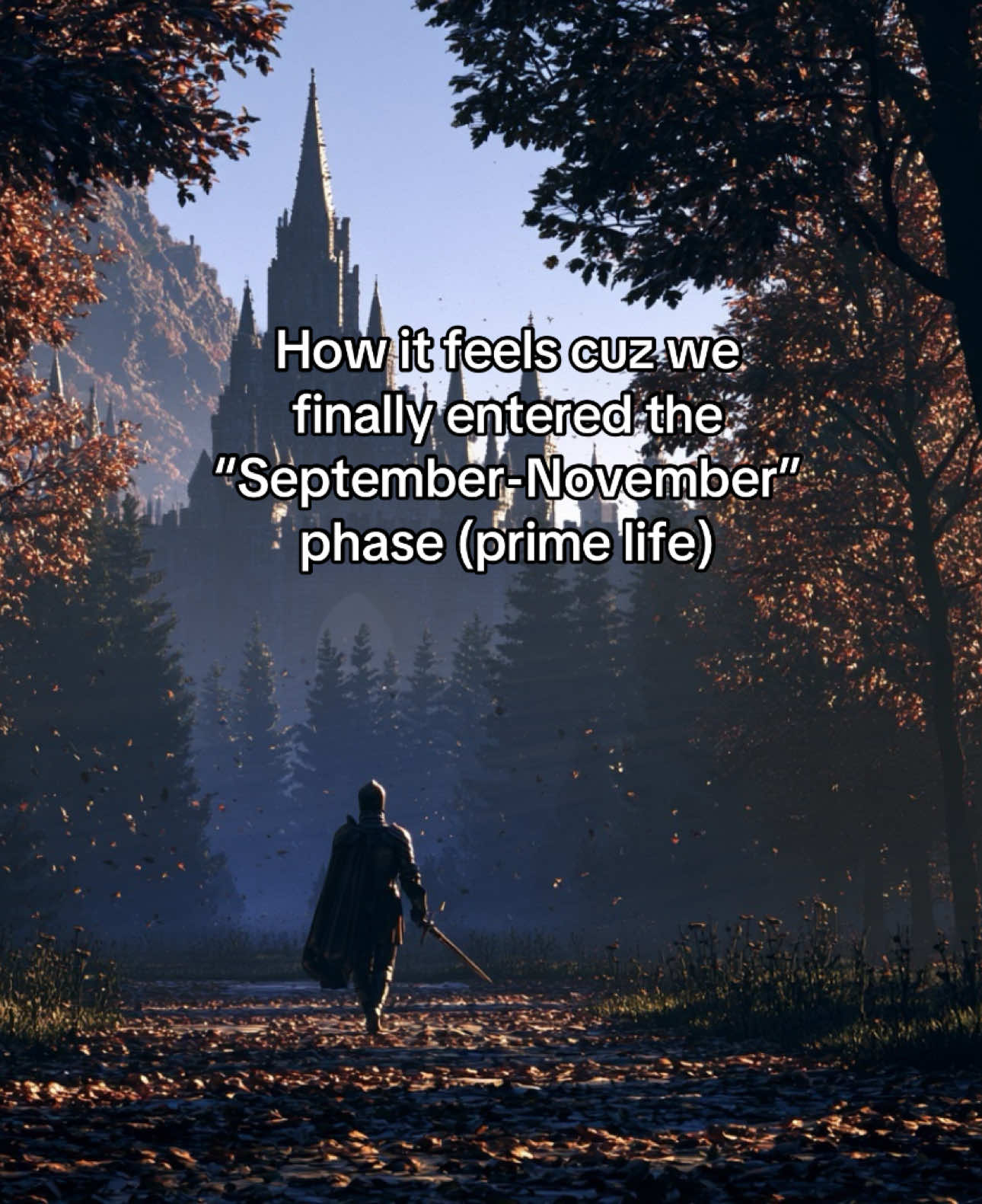 @nightshade