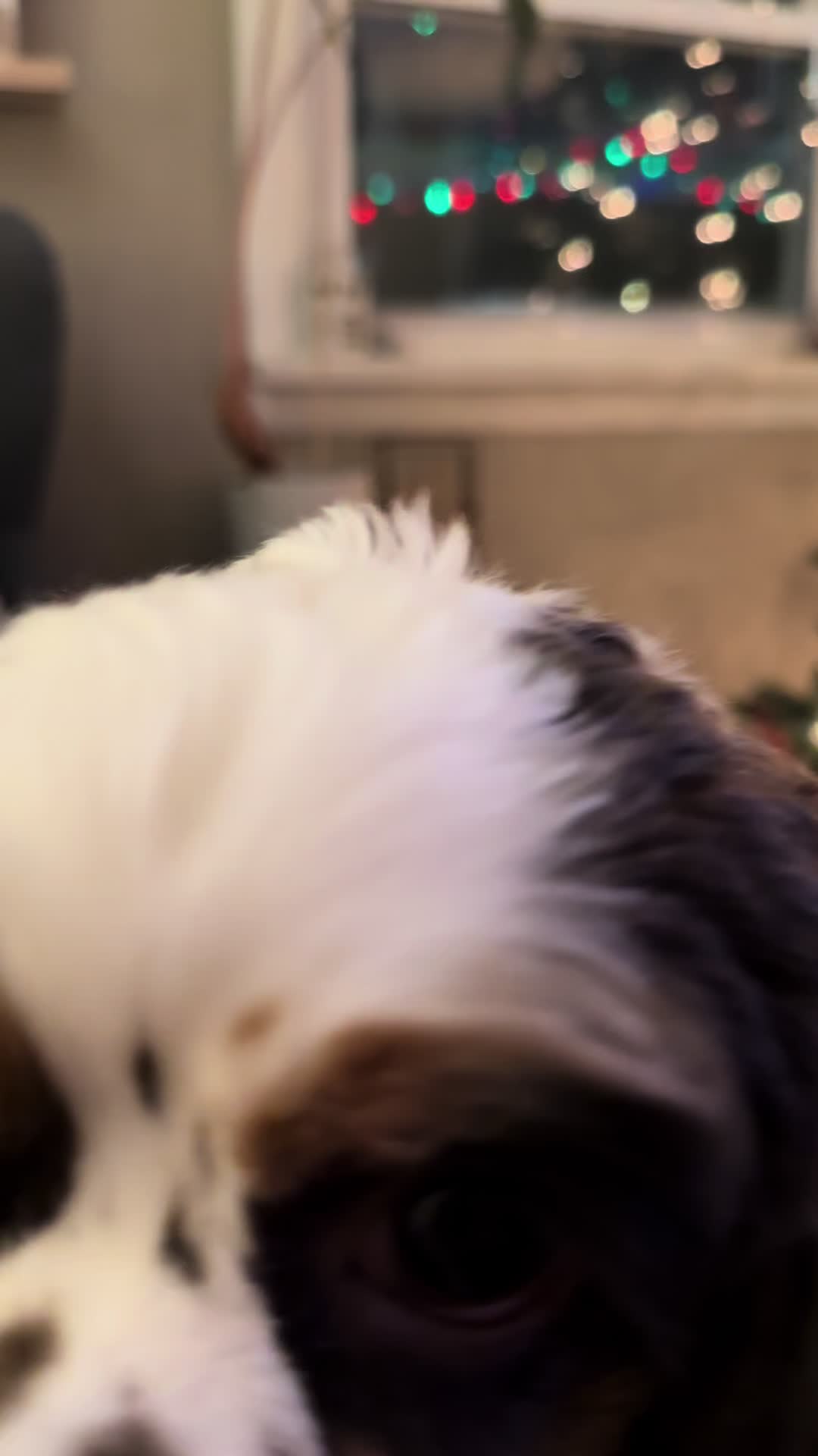 @tnile.99