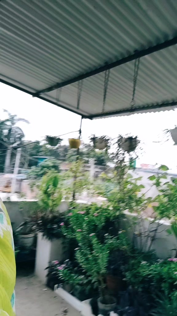 @Mahi Ansari