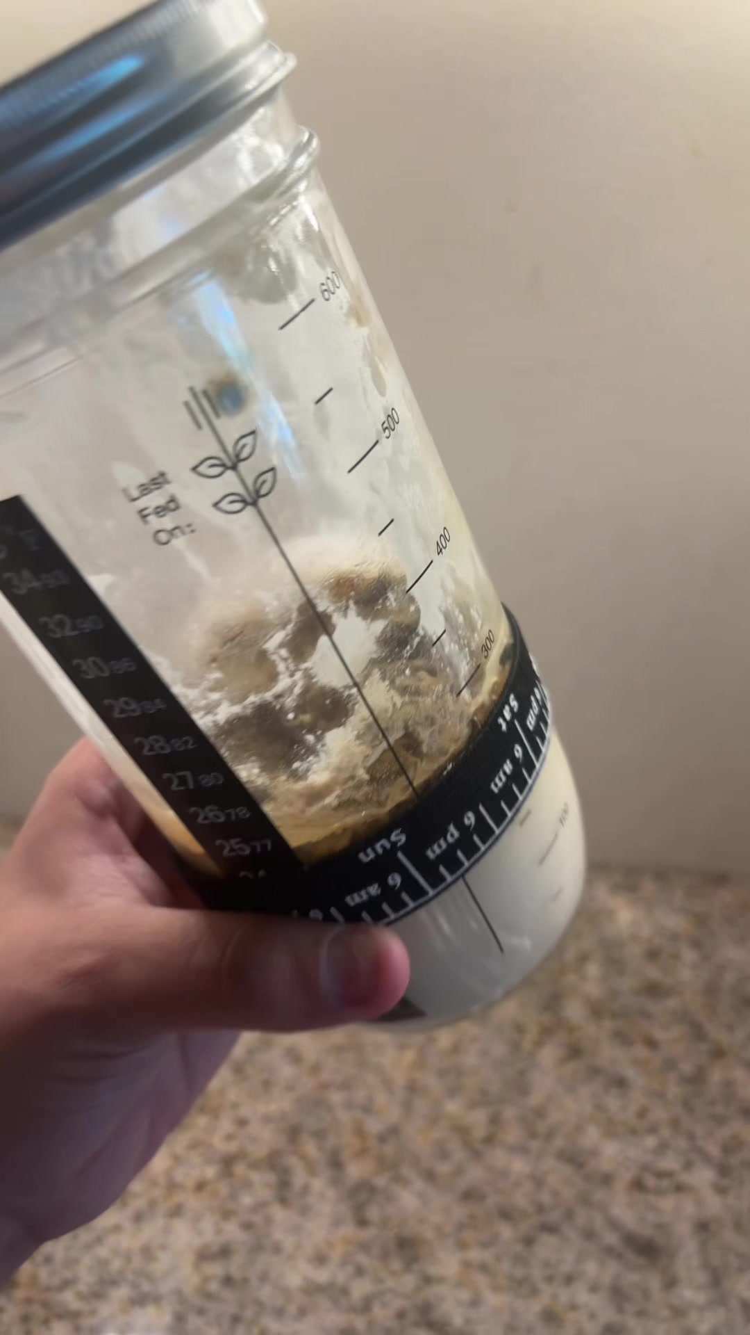 @that1girlcrystal 🪩✨🦢🖤☕️
