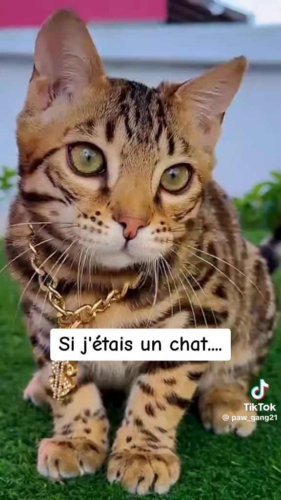 @L'AnTiSoCiAl🤪