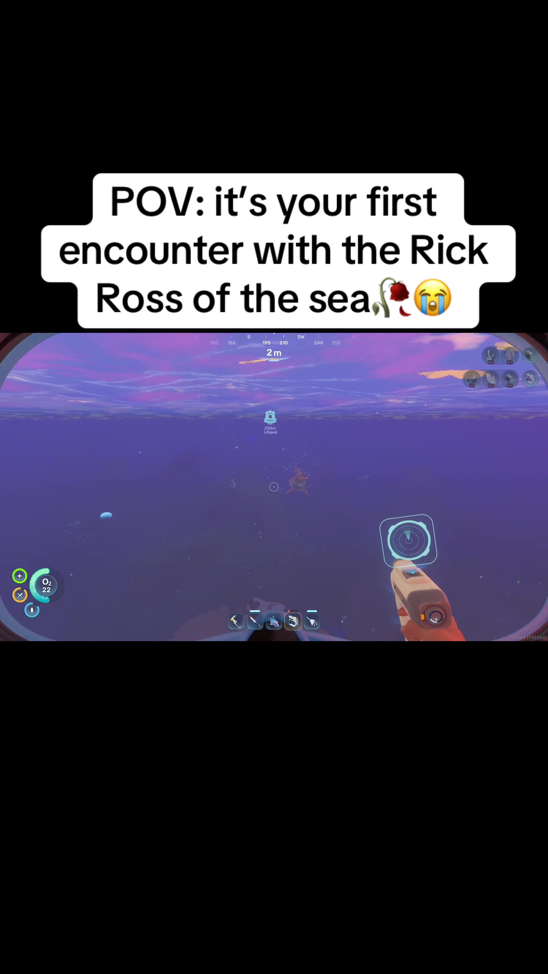 @sandyhoodrat
