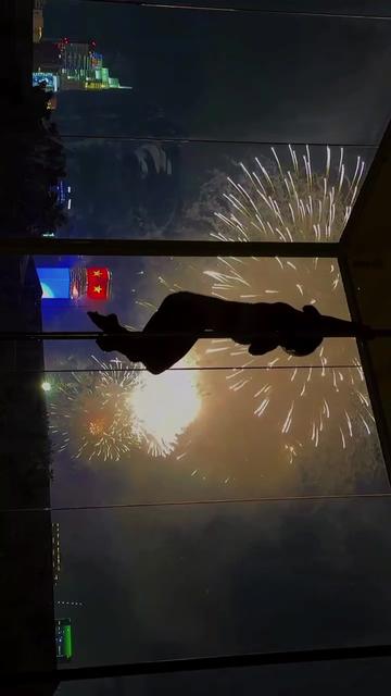 @Pole Fitness 101