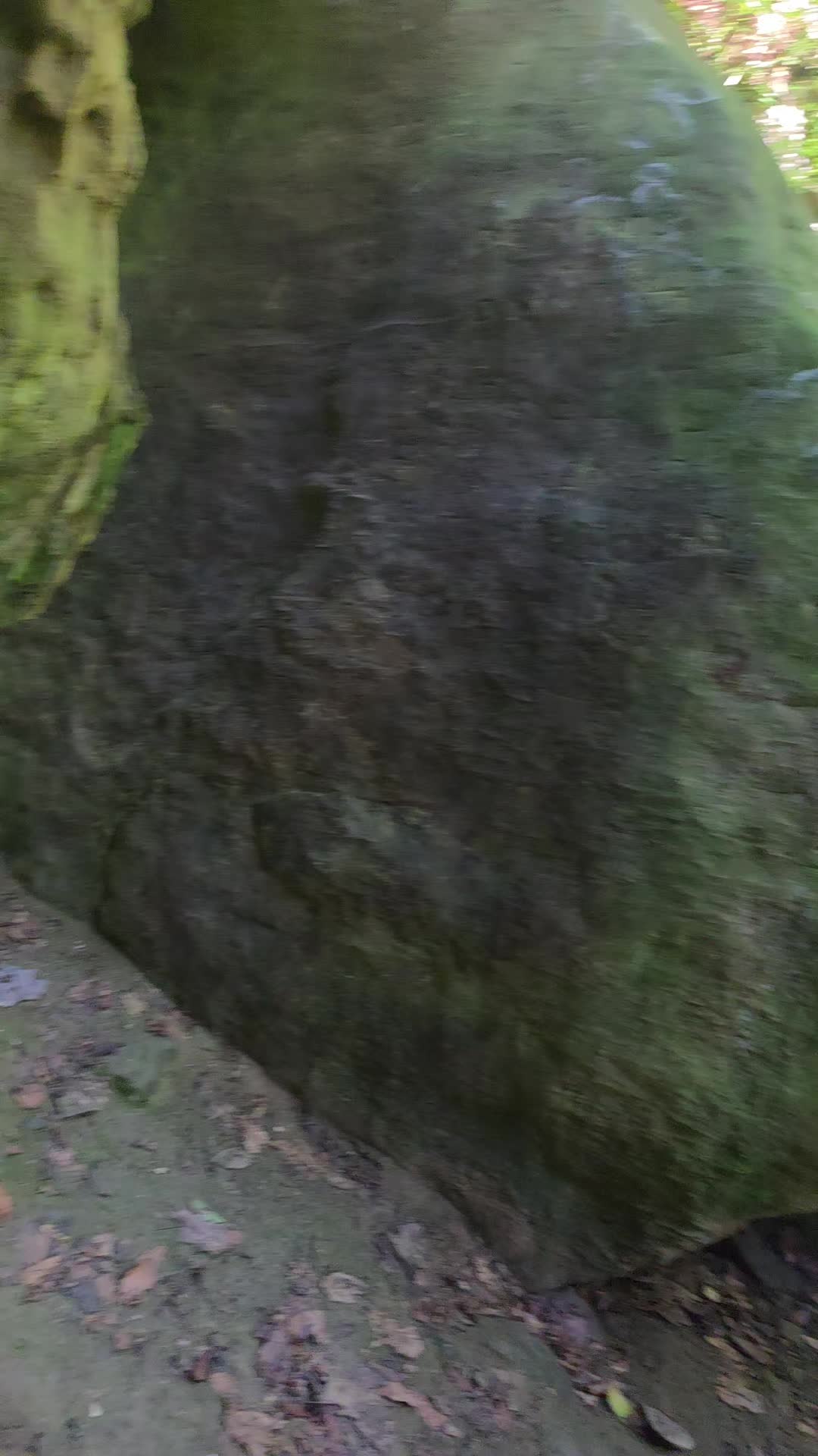 @adventure girl