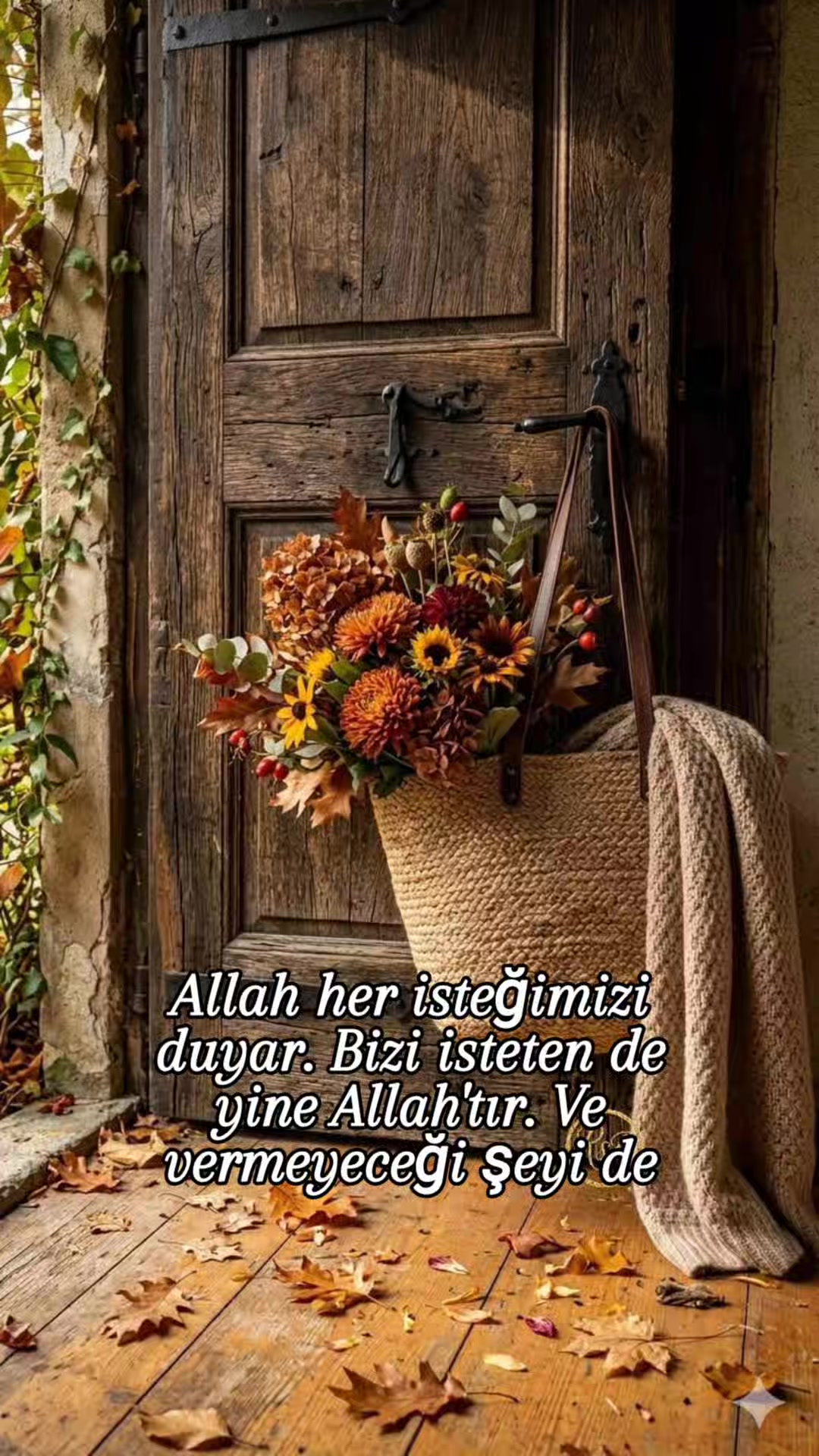 @hayat nereye gidiyor