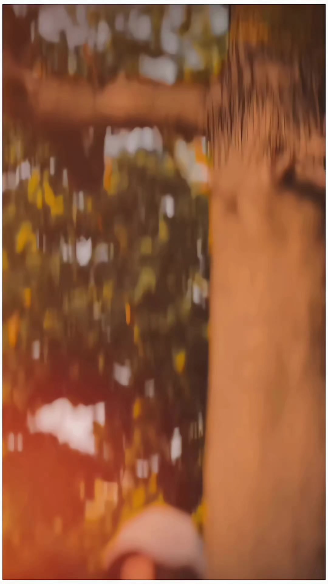 @(💊🦁🤍𝘾𝙝𝙞𝙩𝙖 𝙂🤍🦁💊)