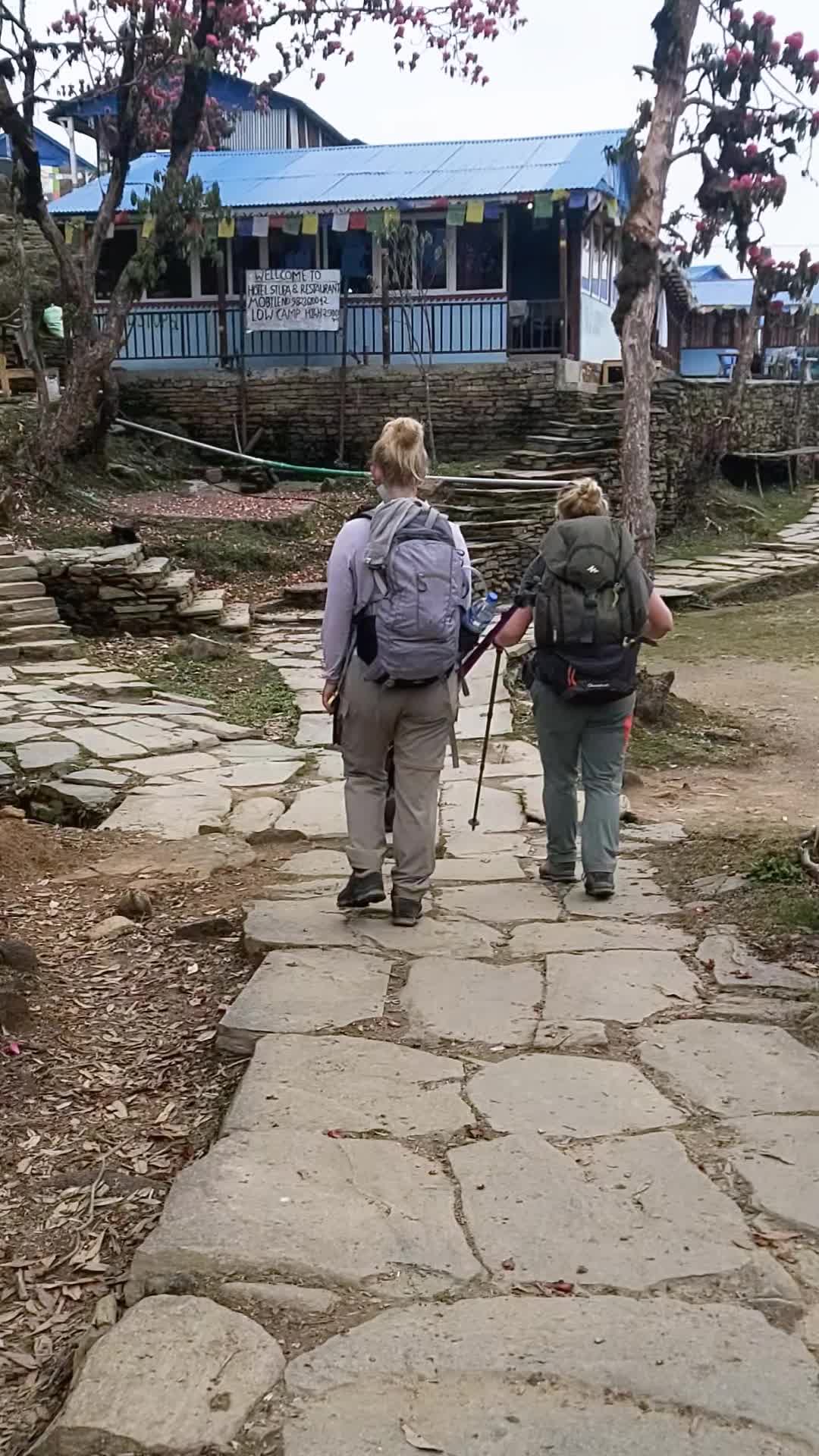 @Mukti Adhikari 999