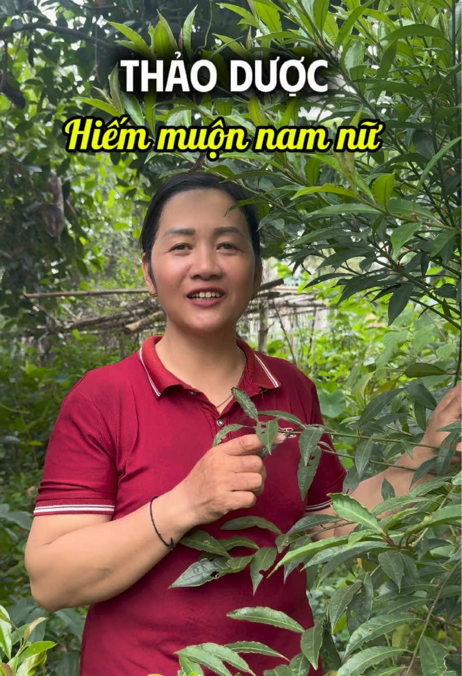 @Cô Sinh Thảo dược Cao Lan