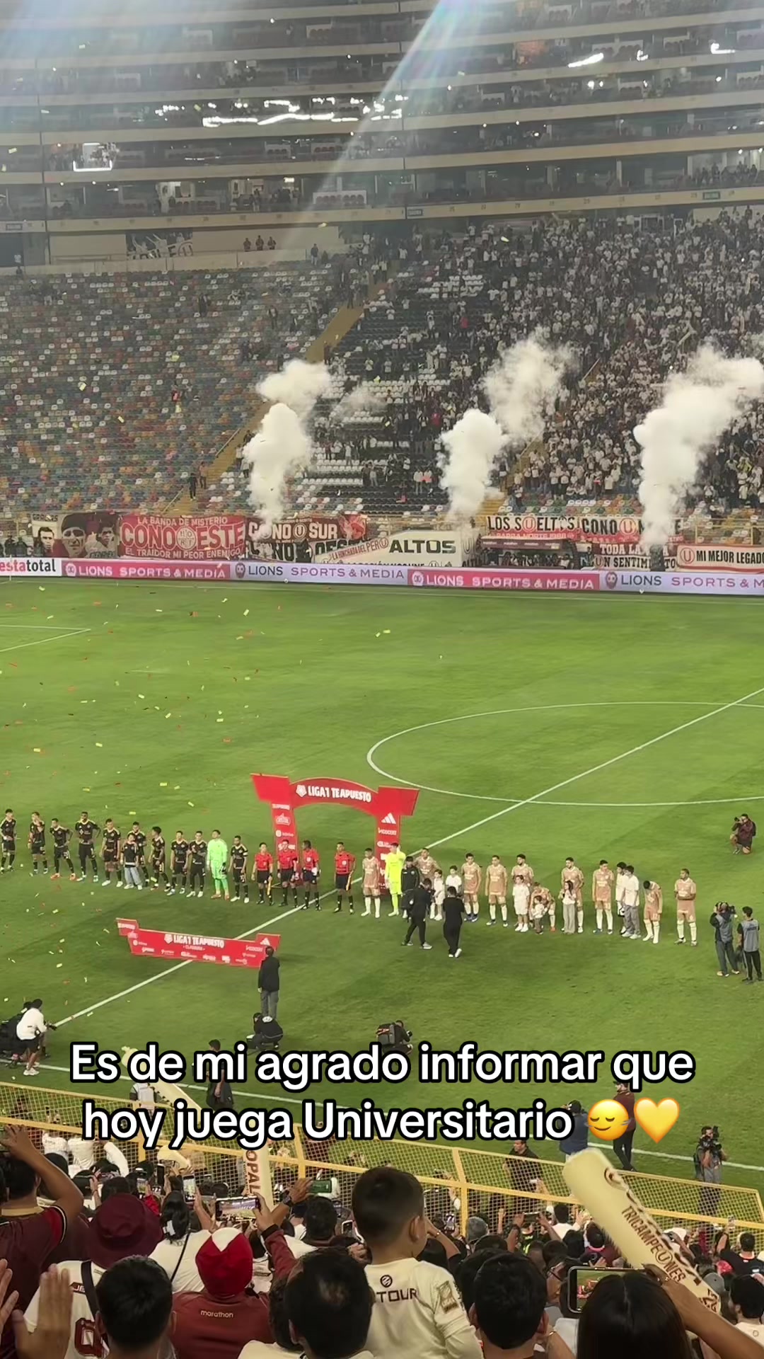 @iojan