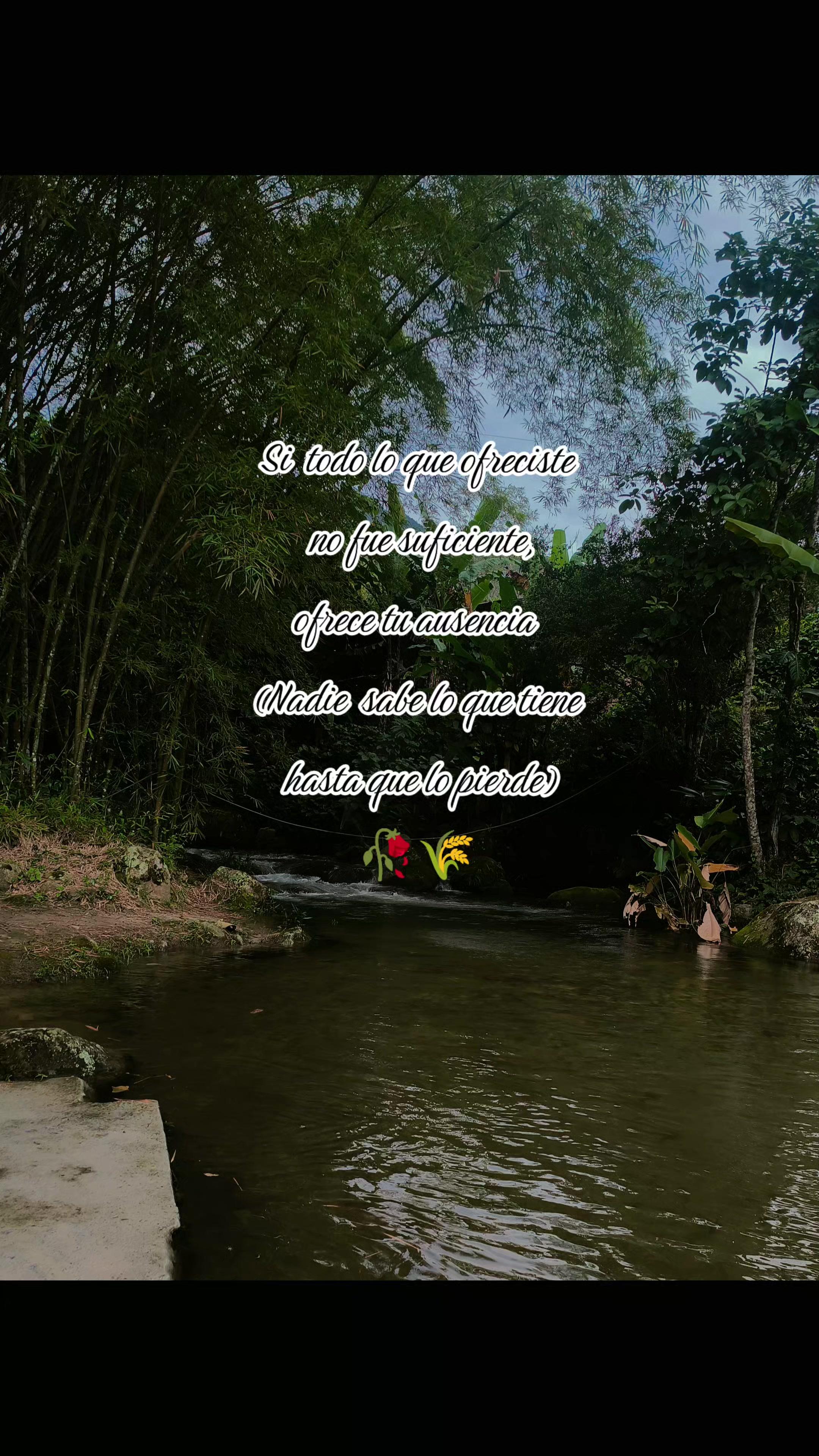 @Janny Milexy