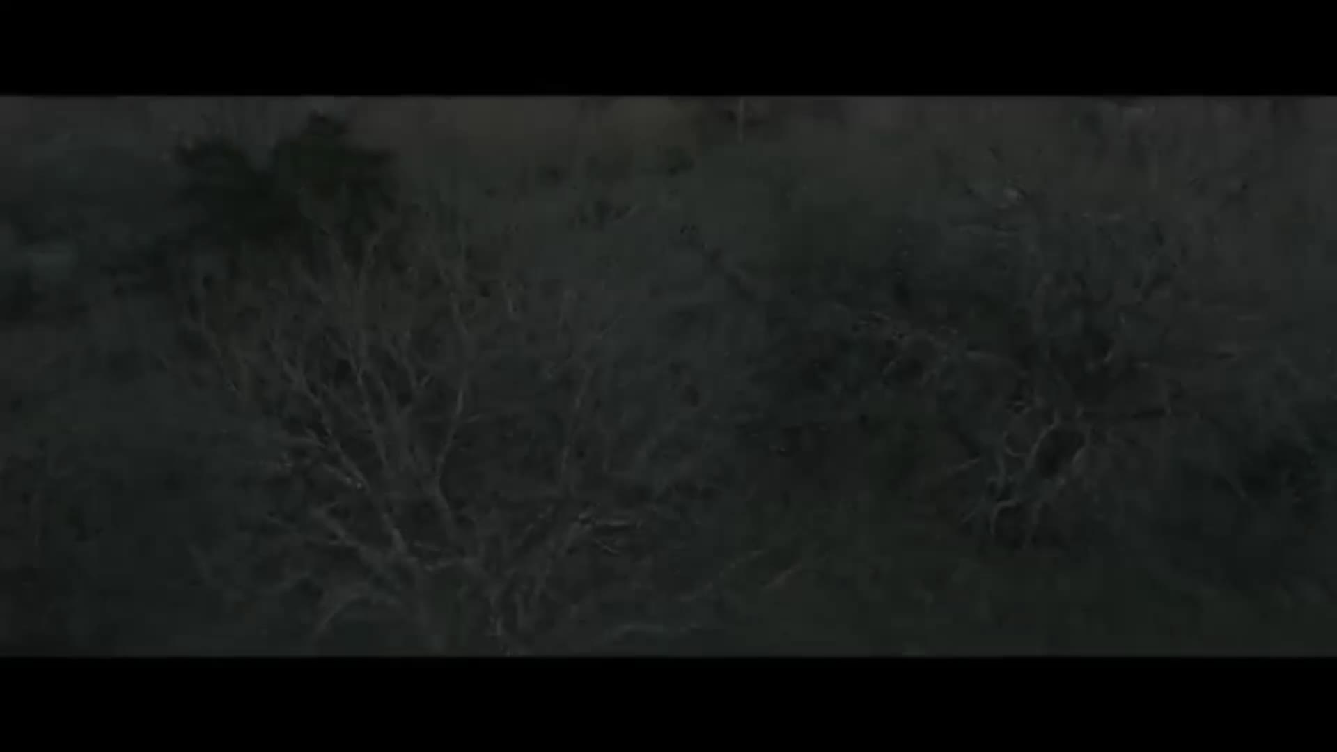 @tiredmakesrealedits