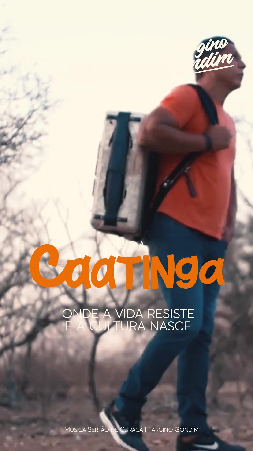 @targinogondimoficial