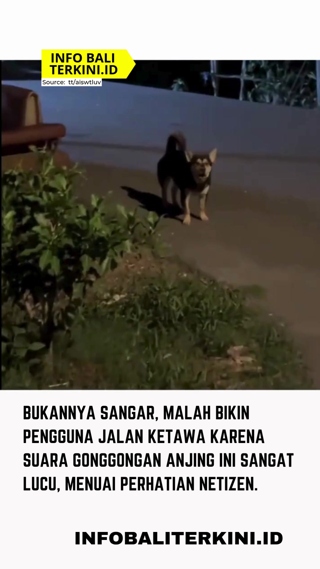 @Berita Bali Terkini