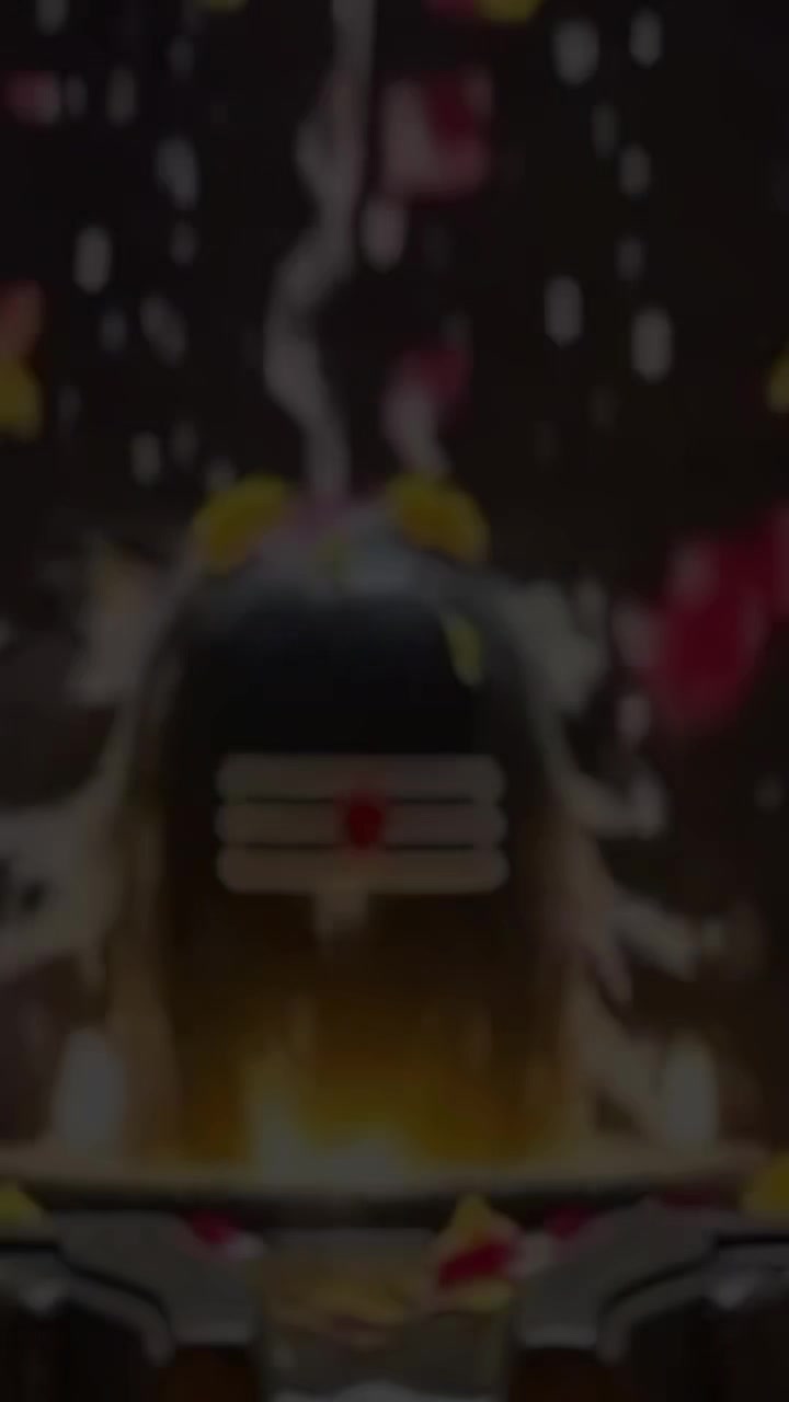 @suntalipahari