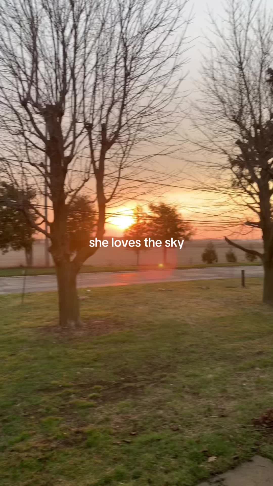 @Sandra Zeledon